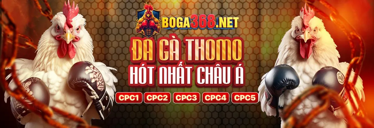 Mẹo và chiến lược cá cược thể thao dh88 nhà cái